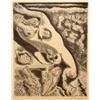 Image 1 : Andre Masson, French Art