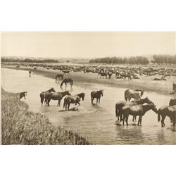 Two L A Huffman Photographs