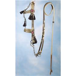 Impressive Deerlodge Horsehair Bridle