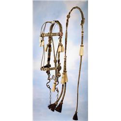 Good Luck Horsehair Bridle