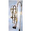 Image 1 : Good Luck Horsehair Bridle