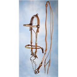 Rawlins, Wyoming Kangaroo & Horsehair Bridle