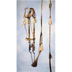 Unusual Rawlins, Wyoming Mustard Horsehair Bridle