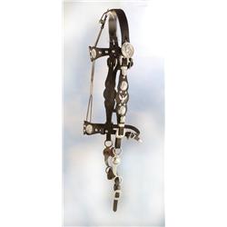 Fancy Silver Headstall