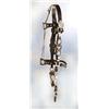 Image 1 : Fancy Silver Headstall