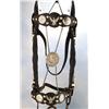 Image 2 : Fancy Silver Headstall