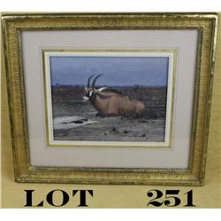 Original framed and matted watercolor by  premier American artist Michael Coleman of a  Roan antelop