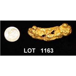 Authentic and natural gold nugget, 89.6 grams  (2.233 oz). Est: $3,200 - $6,500