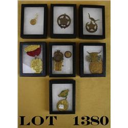 Lot of old stockyard pins and ribbons in 7  small riker mounts including a cattleman’s  convention p