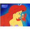 Image 1 : Little Mermaid
