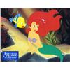 Image 2 : Little Mermaid