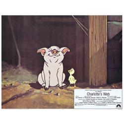 Charlotte's Web