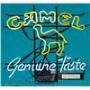 Image 1 : "Camel" Cigarettes Neon Sign