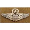 Image 1 : Post WWII Command Pilot Wings Mark (Vanguard)
