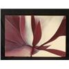 Image 1 : Large Flower Abstract Modern Flower Art Print