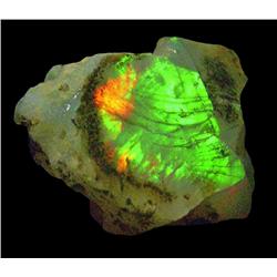 6.2ct Ethiopian Crystal Opal Super Flashing Color (GEM-23834)