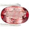 3.50ct Nice Rubellite Tourmaline Brazil   (GEM-28627)