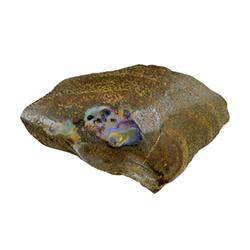 465ct Rare Australian Boulder Opal (GEM-25310)