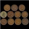 Image 1 : 1891 Indian Cent Lot of 11 Hi Grade (COI-7505)