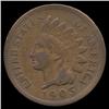 1905 Indian Cent Hi Grade (COI-7748)