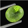 1.54ct Natural Green Peridot (GEM-28993)