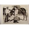 Image 1 : Original 1945 Press Photo Horse Racing Ban -Canadian