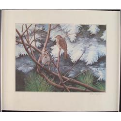 Peter Miehm Signed Finches Wildlife Bird Art Print