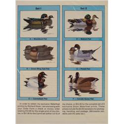 6 Bird Waterfowl Prints Richard Sloan Set Ducks