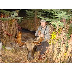 Canadian Moose Hunt with Sonny's Guiding Service