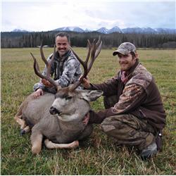 Pre-rut Whitetail, Mule Deer and Moose Hunt with Dome Creek Outfitters