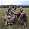 Image 1 : Pre-rut Whitetail, Mule Deer and Moose Hunt with Dome Creek Outfitters