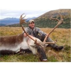 Caribou Hunt with BC Safaris