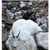 Image 1 : Mountain Goat Hunt with Tuchodi River Outfitters