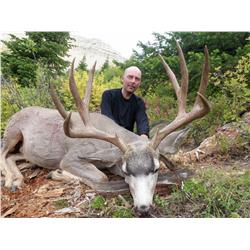 Classic Spot & Stalk Mule Deer Hunt with Packhorse Creek Outfitters
