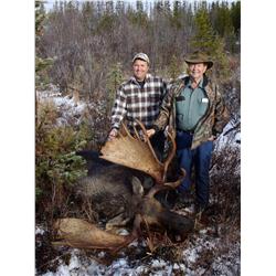 Trophy Moose Hunt with McConnell & Company