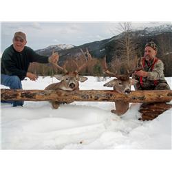Mountain Whitetail Deer Hunt with Wolverine Valley Outfitters