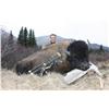 Image 1 : Plains Bison Hunt with Sikanni River Outfitters