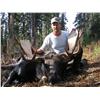 Image 3 : Moose Hunt with Opatcho Lake Guide Outfitters