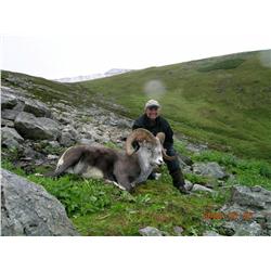 Stone's Sheep Hunt with Upper Stikine River Adventures