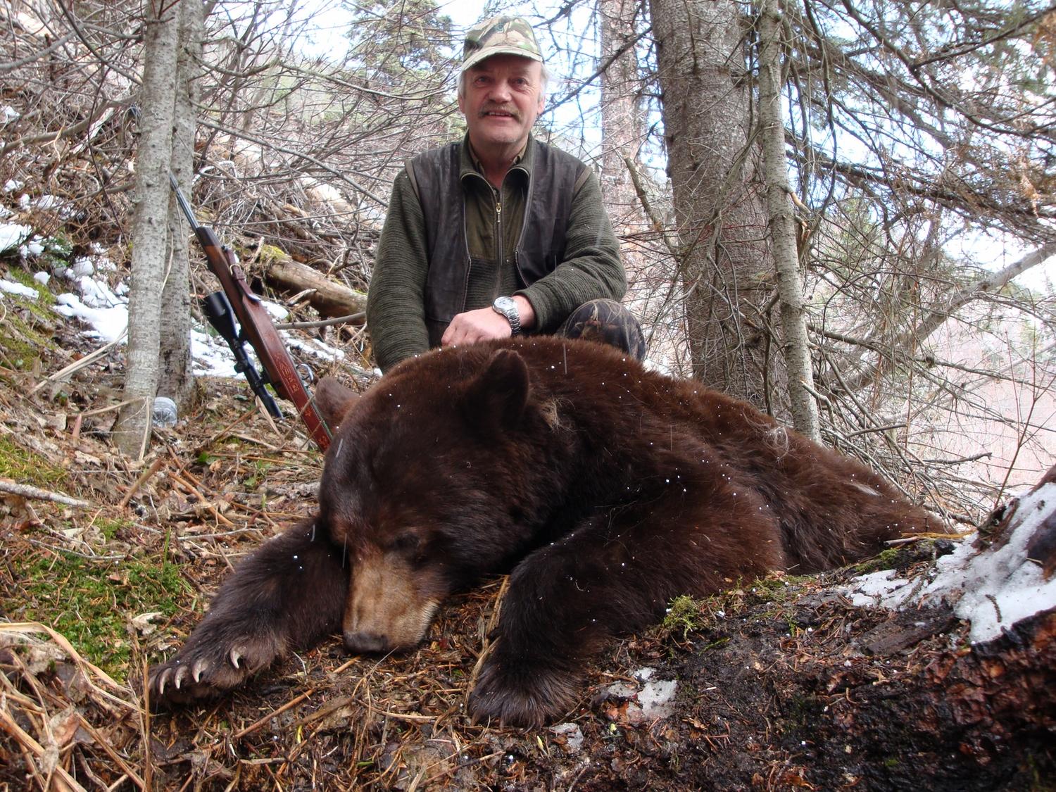 Spring Black Bear Hunt with High Caliber Adventures