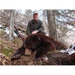 Spring Black Bear Hunt with High Caliber Adventures
