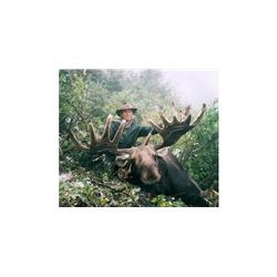 Canadian Moose Hunt with Dunedin River Outfitters