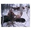 Image 2 : Canadian Moose Hunt with Dunedin River Outfitters