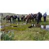 Image 2 : Wilderness Trip for 2 with Collingwood Brothers Guides & Outfitters