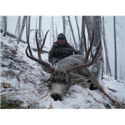 Mule Deer Hunt with Ram Creek Outfitters