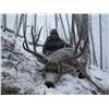 Image 1 : Mule Deer Hunt with Ram Creek Outfitters