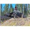 Image 1 : Black Bear Hunt with Cariboo Mountain Outfitters