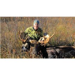 Canadian Moose Hunt with Amblers Bighorn Country Guiding (newly added)