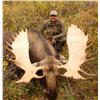 Image 1 : Horseback Moose Hunt with Stone Mountain Safaris