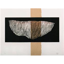 VICTOR GUADALAJARA  COCOON  METAL ENGRAVING ETCHING